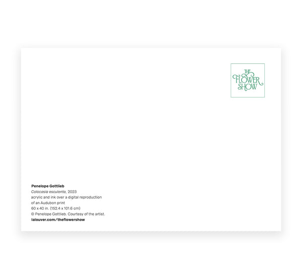 The Flower Show Postcard Set