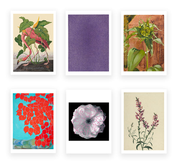 The Flower Show Postcard Set