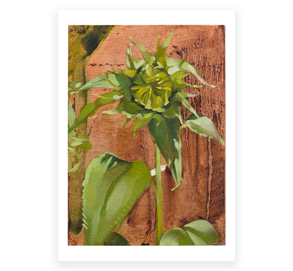 The Flower Show Postcard Set