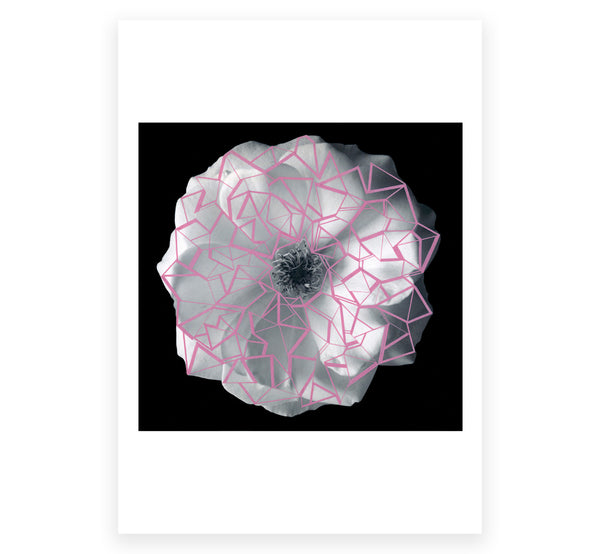 The Flower Show Postcard Set