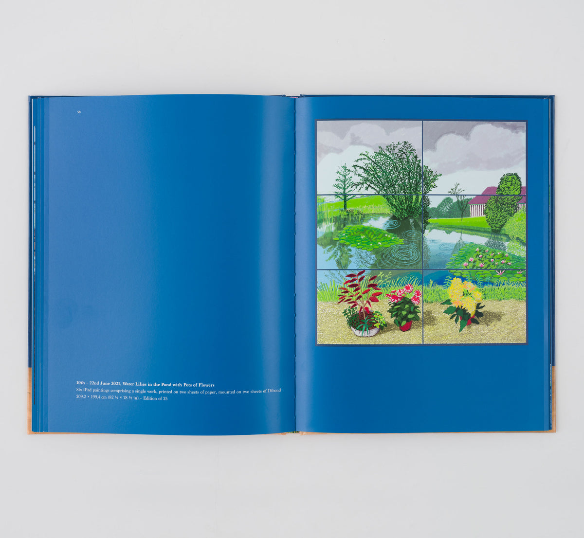 David Hockney 20 Flowers and Some Bigger Pictures L.A. Louver Shop