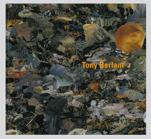 Tony Berlant: New Terrain