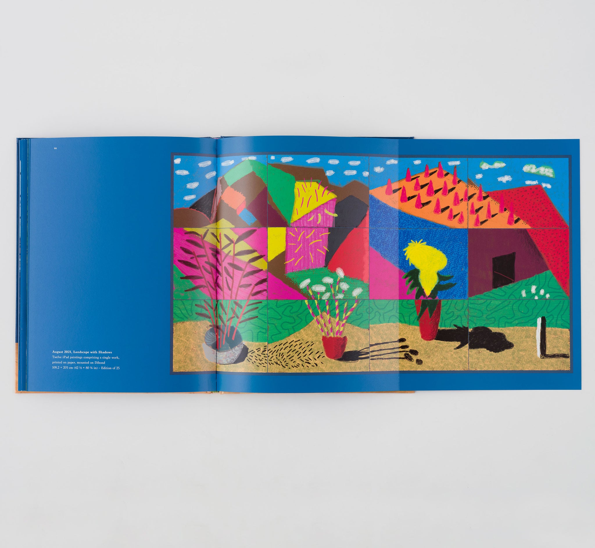 David-Hockney-20-Flowers-and-