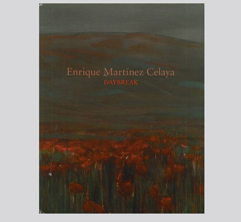 Enrique Martínez Celaya: Daybreak