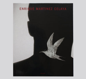 Enrique Martinez Celaya: 1992-2000